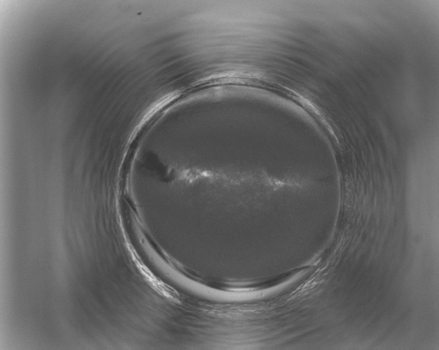 X0000058141042200510072026