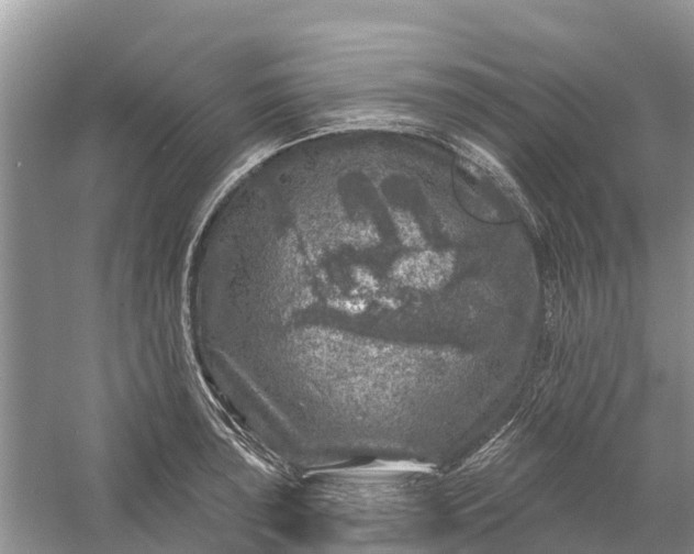 X0000058141043200510072026