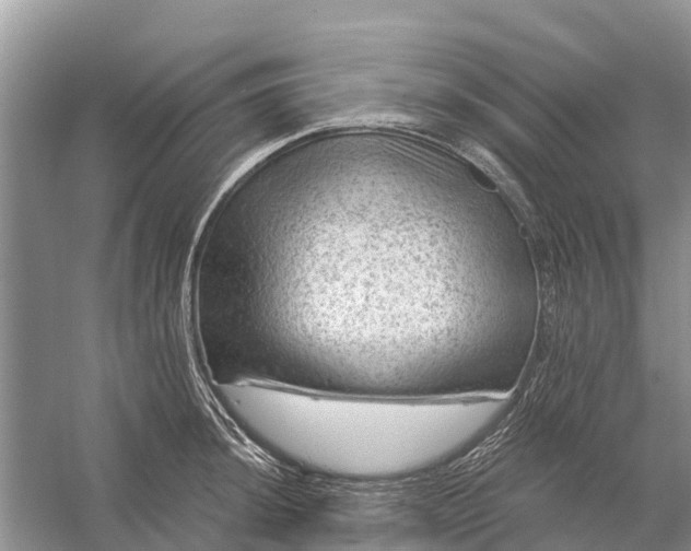 X0000058141044200510072026