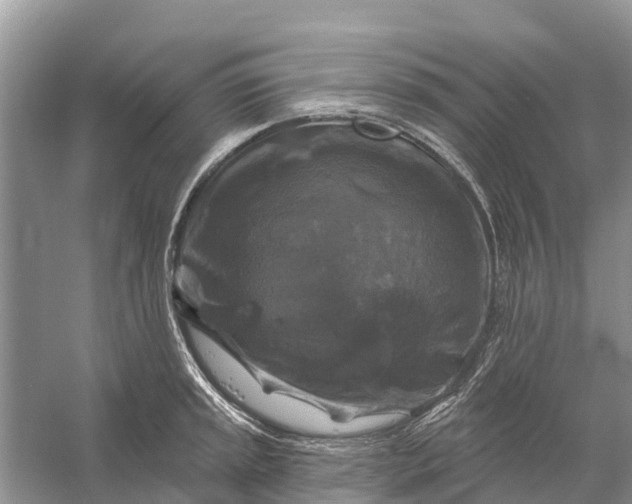 X0000058141045200510072026