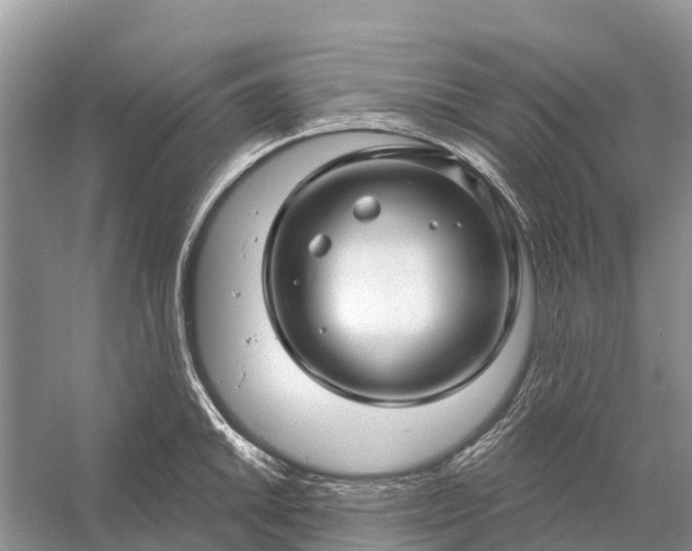 X0000058141046200510072026