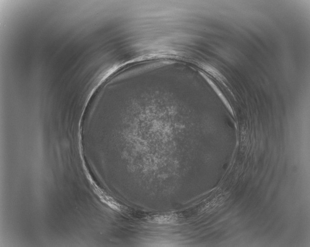 X0000058141047200510072026