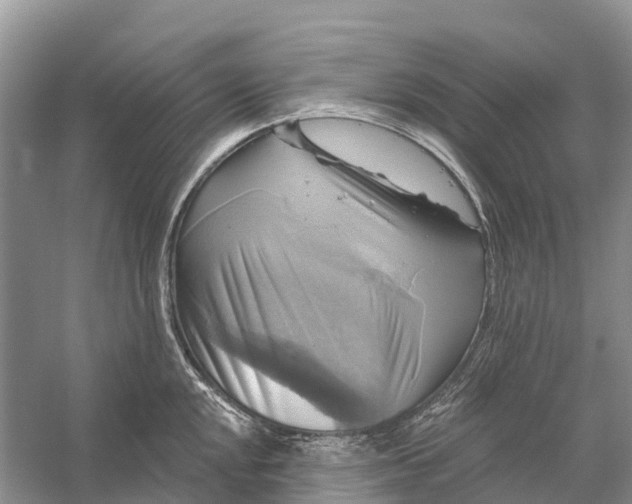 X0000058141048200510072026