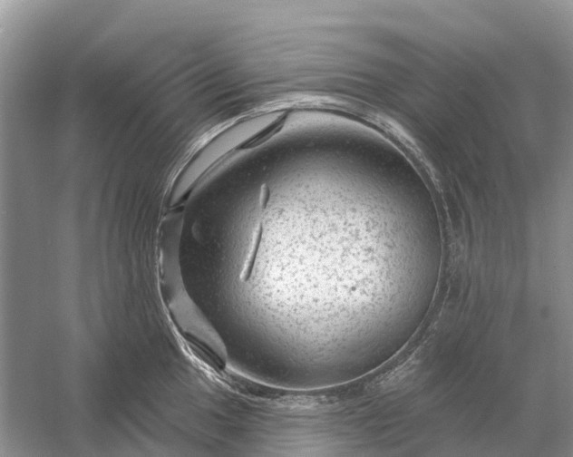 X0000058141049200510072026