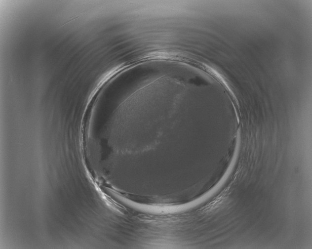 X0000058141050200510072026