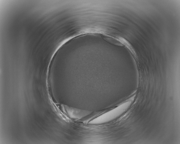 X0000058141052200510072026