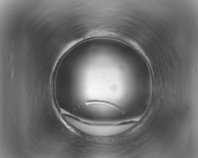 X0000058141053200510072026