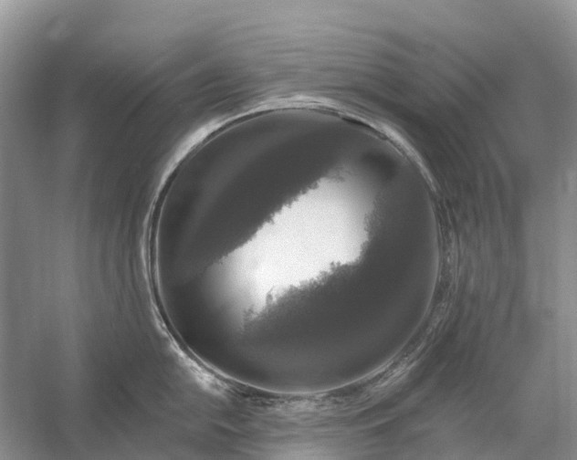 X0000058141054200510072026