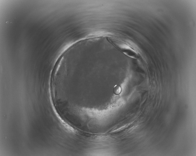 X0000058141055200510072026