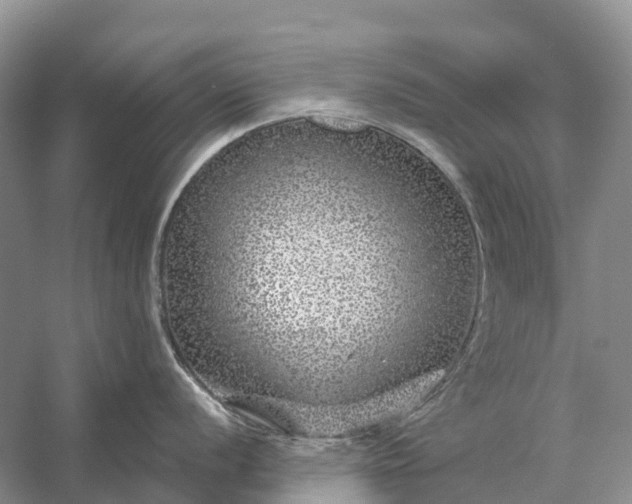 X0000058141056200510072026