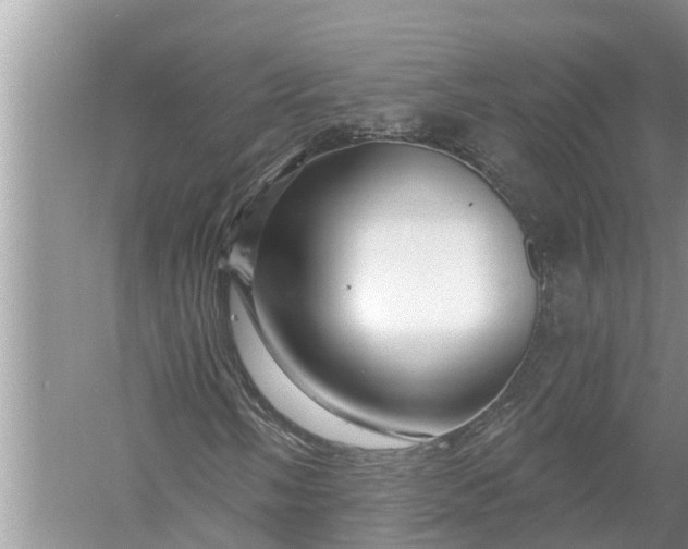 X0000058141058200510072025