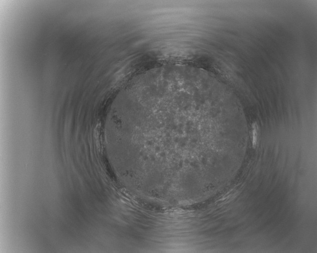 X0000058141059200510072025