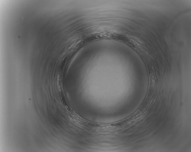 X0000058141060200510072025