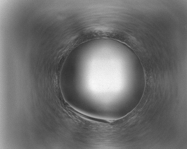 X0000058141061200510072025