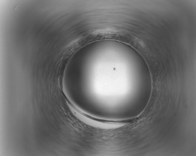 X0000058141062200510072025