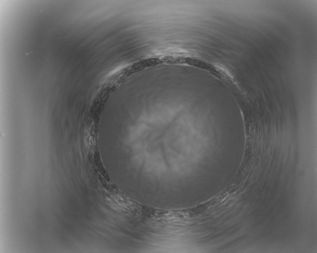 X0000058141063200510072025