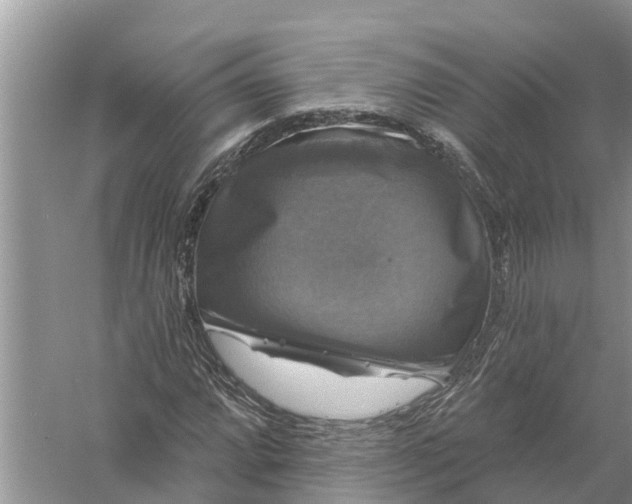 X0000058141064200510072025