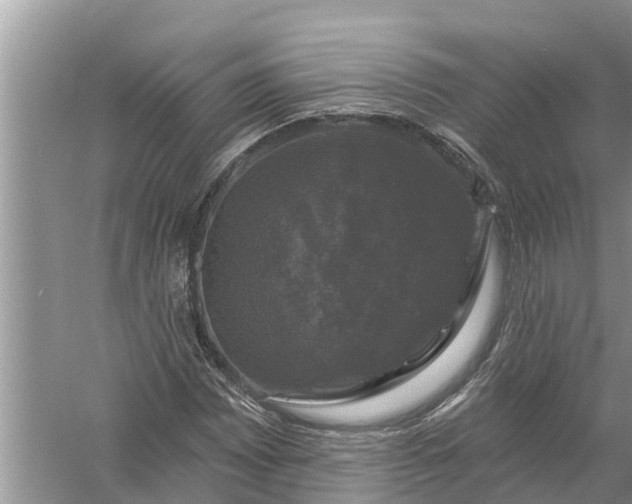 X0000058141065200510072025