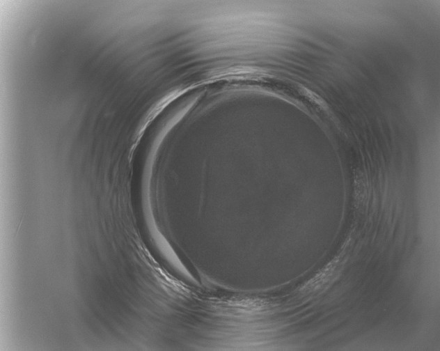 X0000058141066200510072025