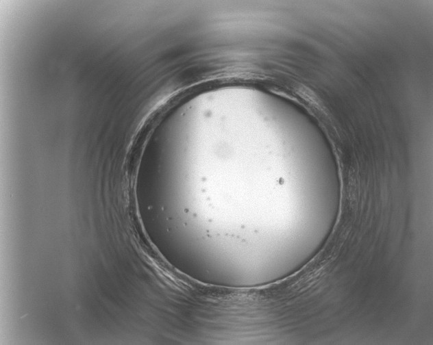 X0000058141067200510072025