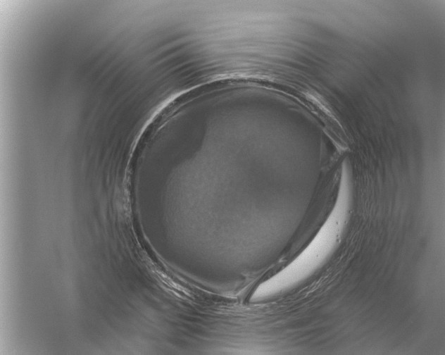 X0000058141068200510072025