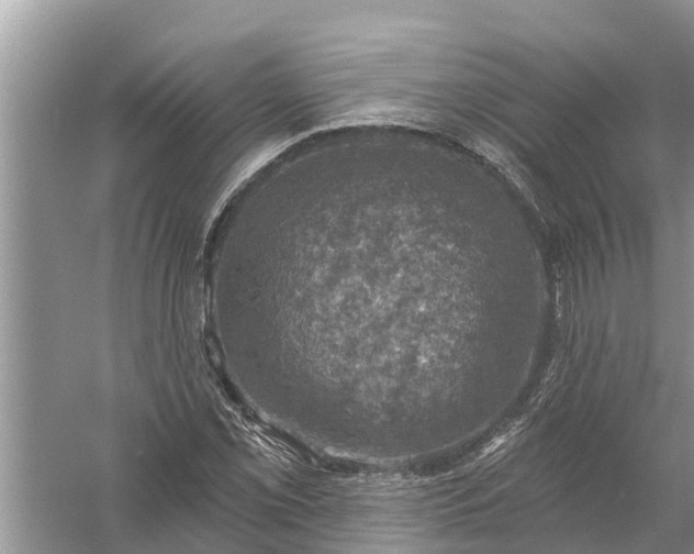 X0000058141069200510072025