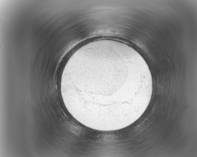 X0000058141070200510072025