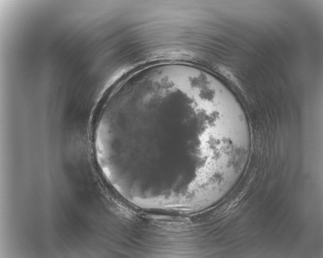 X0000058141071200510072025