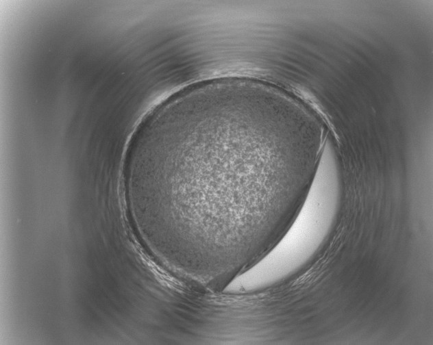 X0000058141072200510072025