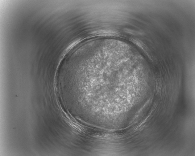 X0000058141074200510072025