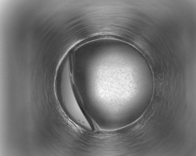 X0000058141076200510072025