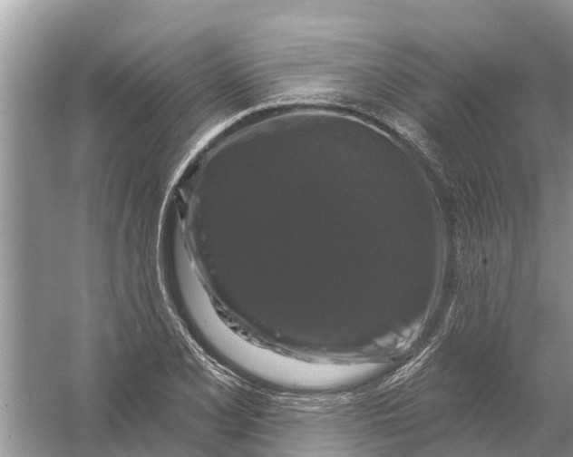 X0000058141077200510072025