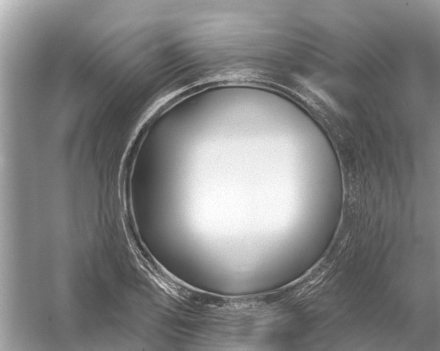 X0000058141078200510072025