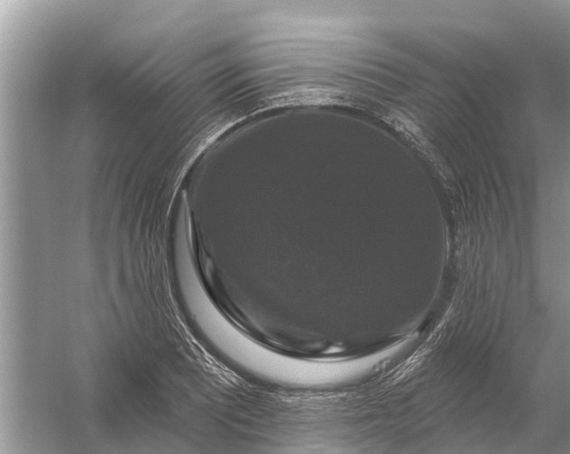 X0000058141081200510072025