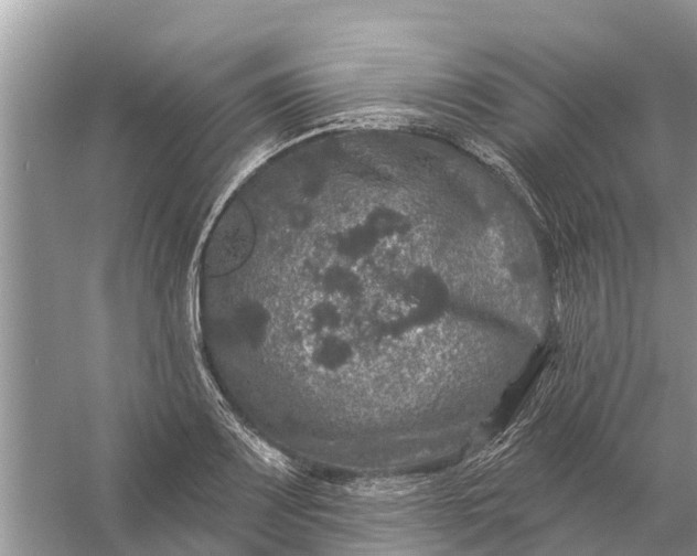 X0000058141083200510072025