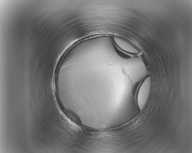 X0000058141084200510072025