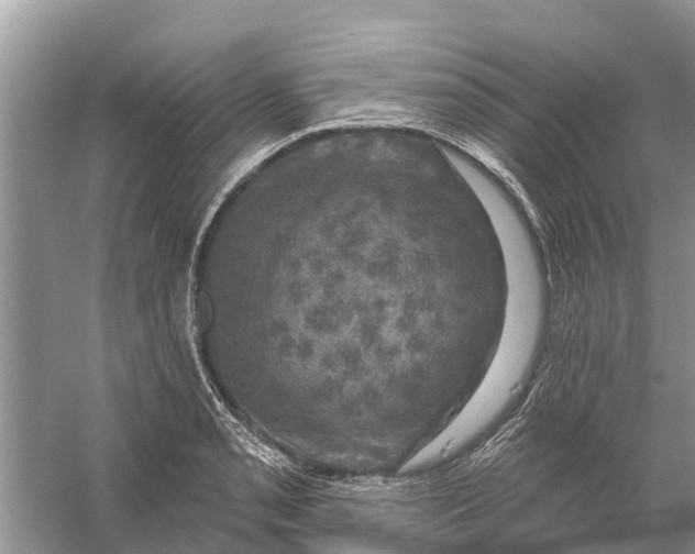 X0000058141085200510072025