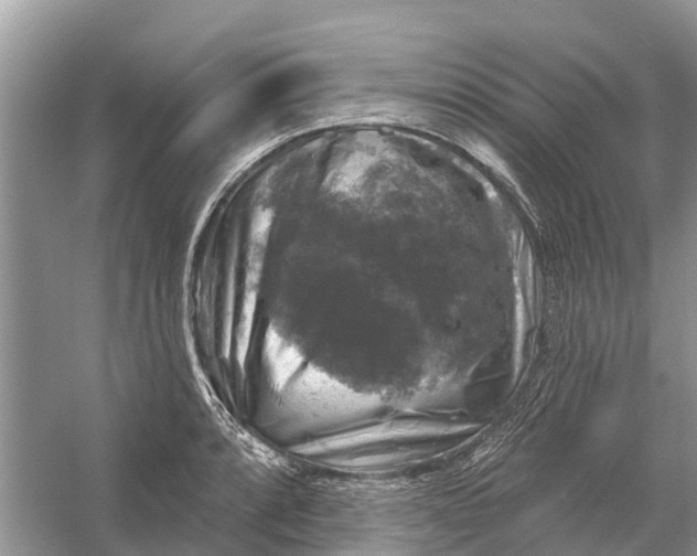 X0000058141088200510072025