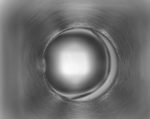 X0000058141089200510072025