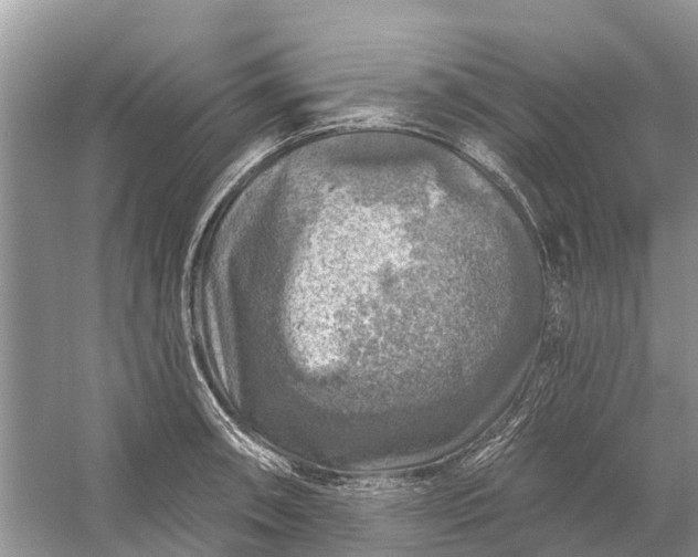 X0000058141090200510072025