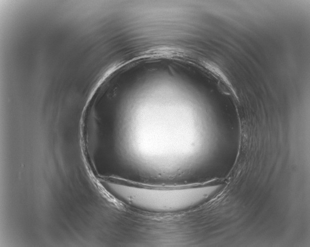 X0000058141091200510072025