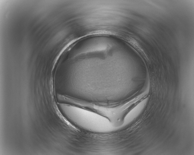 X0000058141092200510072025