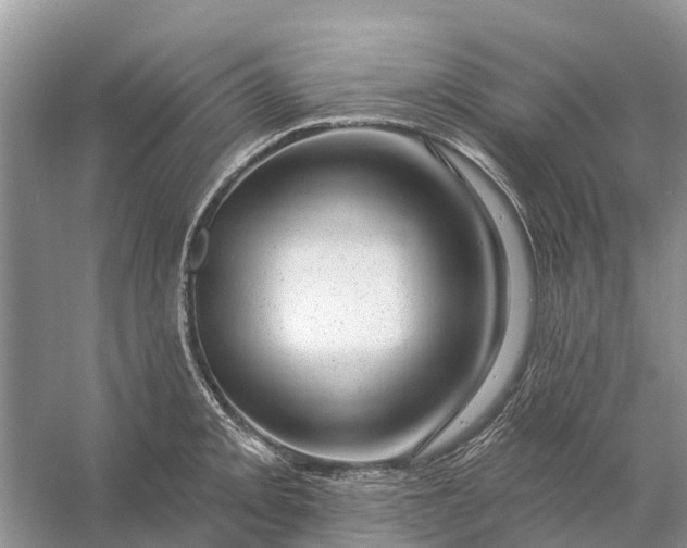 X0000058141093200510072025