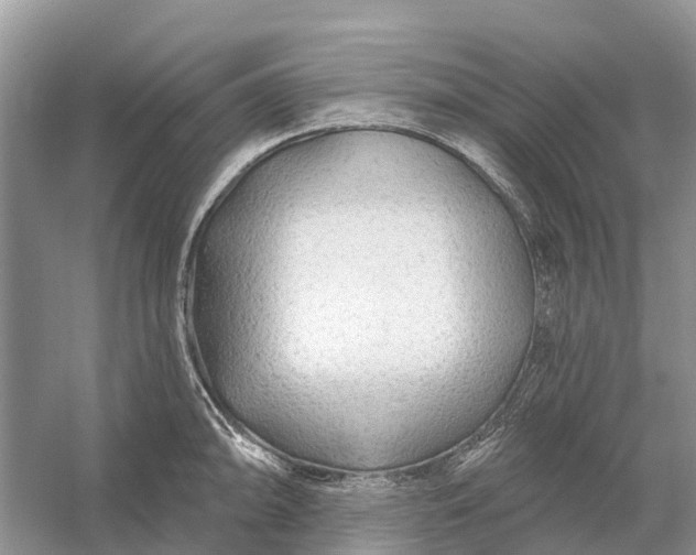 X0000058141094200510072025