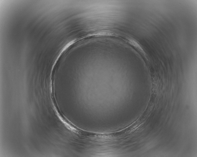 X0000058141095200510072025