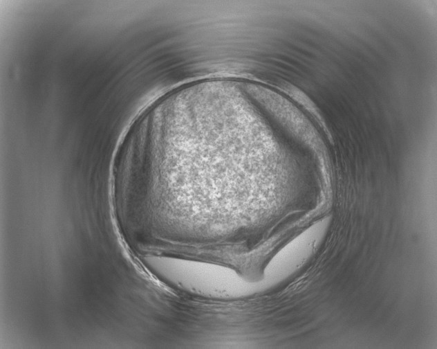 X0000058141096200510072025