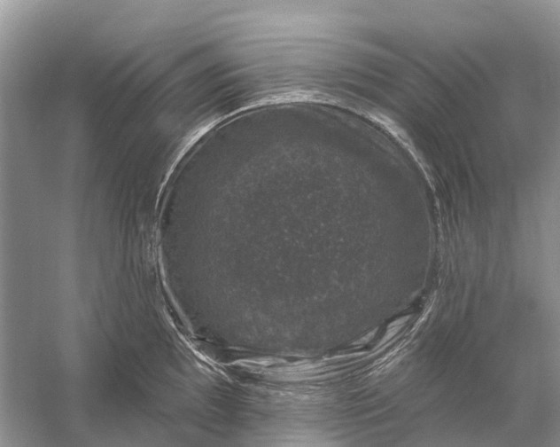 X0000058141097200510072025