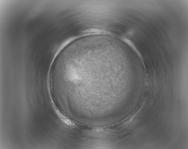 X0000058141098200510072025