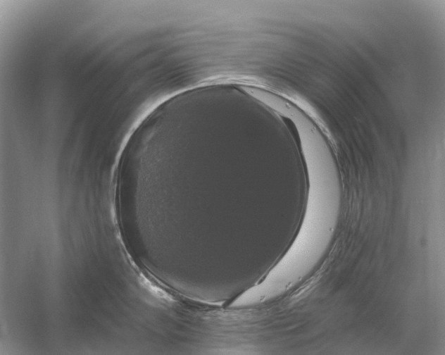 X0000058141102200510072025