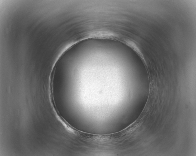 X0000058141103200510072025